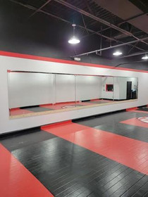 Image 2 from Tamashi Martial Arts partner gallery