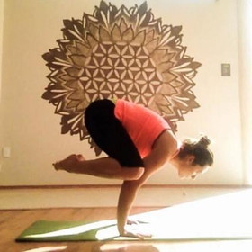 Imagen 2 de la galería del partner Iris Castelán Yoga Shala