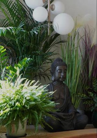 Bild 4 von Hardy’s Yoga House Partnergalerie