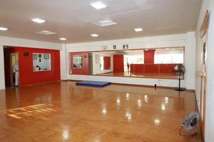 Imagen 3 de la galería del partner GOJU-KAN AV. MEXICO