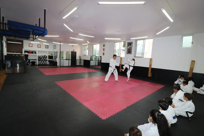 Imagen 3 de la galería del partner GOJU-KAN VALLE REAL