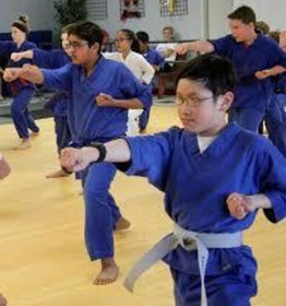 Imagem 4 da galeria do parceiro TrueNorth Martial Arts Academy
