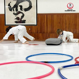 Imagen 4 de la galería del partner GOJU-KAN LAS AGUILAS