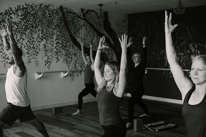 Image 5 from Willow Soul Yoga- Otsego partner gallery
