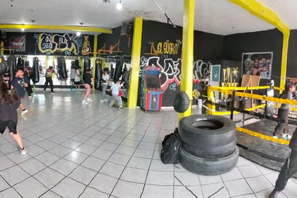 Imagen 3 de la galería del partner Alfas boxing