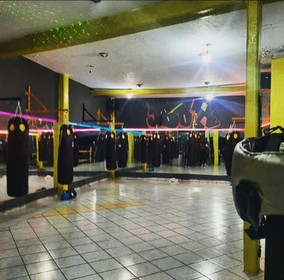 Imagen 5 de la galería del partner Alfas boxing