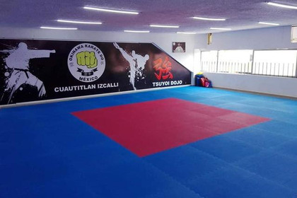 Imagen 1 de la galería del partner OKD Izcalli