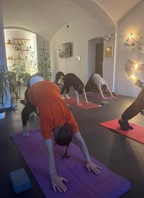 Immagine 2 dalla galleria del partner Yoga in Wonderland - Hari-Om