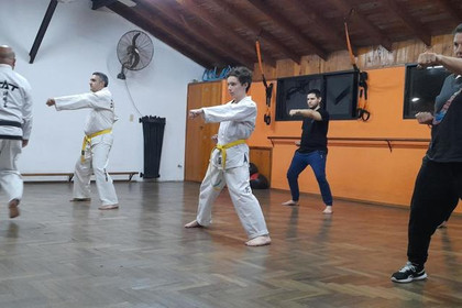 Imagen 4 de la galería del partner Escuela de Taekwondo Walter Lee