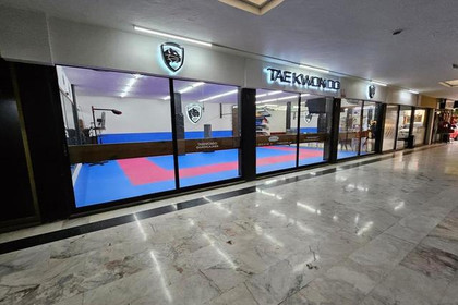 Imagen 2 de la galería del partner Panteras Taekwondo Guadalajara