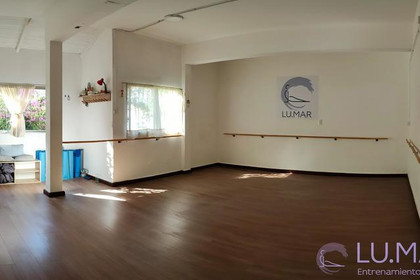Imagen 2 de la galería del partner Espacio Synergia
