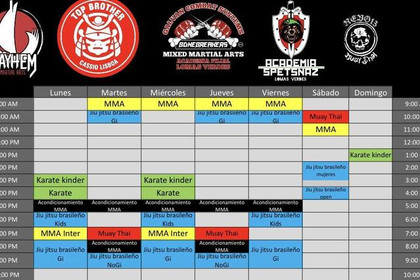 Imagen 1 de la galería del partner Mayhem Martial Arts