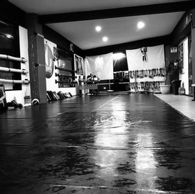 Imagen 4 de la galería del partner Mayhem Martial Arts