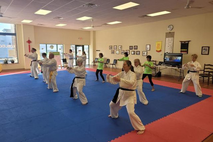 Image 2 from Ling's Oriental Martial Arts, LLC partner gallery