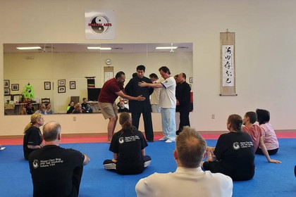 Image 3 from Ling's Oriental Martial Arts, LLC partner gallery