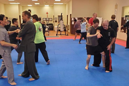 Image 5 from Ling's Oriental Martial Arts, LLC partner gallery