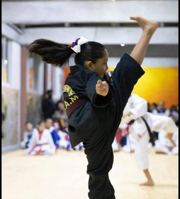 Imagen 4 de la galería del partner UTAM Orizaba Taekwondo 1