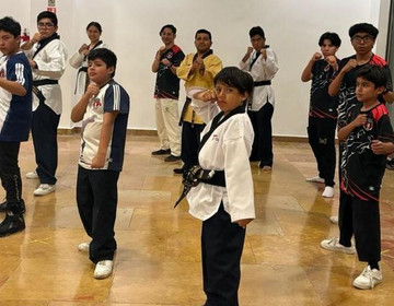 Imagen 2 de la galería del partner NUEVA ERA TAEKWONDO 2