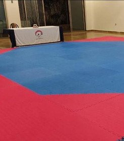 Imagen 3 de la galería del partner NUEVA ERA TAEKWONDO 2