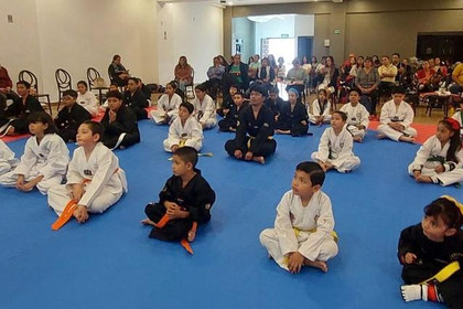 Imagen 4 de la galería del partner NUEVA ERA TAEKWONDO 2