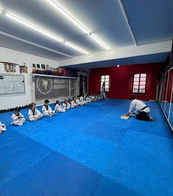 Imagen 2 de la galería del partner MARTIAL ARTS ORIZABA