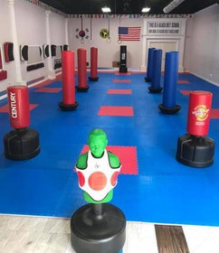 Image 5 from D-Best-1 Taekwondo & Kickboxing School - Clifton Location partner gallery