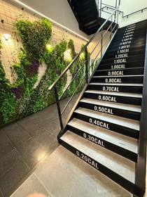 Imagen 5 de la galería del partner Goiak Fábrica