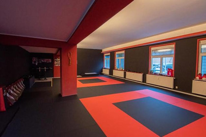 Bild 5 von White Lotus Gesundheitszentrum - Wöhrder See Partnergalerie