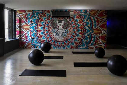 Imagen 2 de la galería del partner GO! Fitness Altavista
