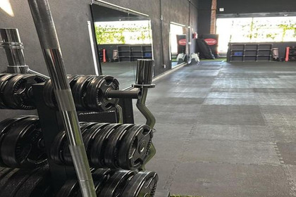 Imagen 3 de la galería del partner Jungle Fitness Studio El Manantial