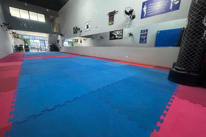Imagem 6 da galeria do parceiro Taekwondo Sorocaba