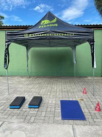 Imagem 3 da galeria do parceiro Pegasus Assessoria