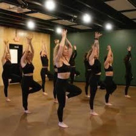 Image 3 from Wild Root Yoga partner gallery