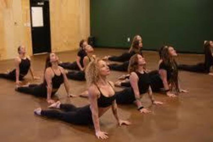 Image 5 from Wild Root Yoga partner gallery