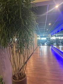 Imagem 4 da galeria do parceiro Academia Body Life Magé