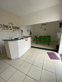 Imagem 5 da galeria do parceiro Clinica Bgfisio