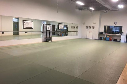 Image 3 from One Dojo partner gallery