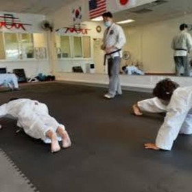 Image 4 from Dragon and Crane Dojo partner gallery