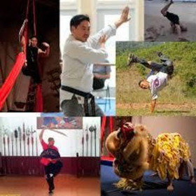 Image 5 from Dragon and Crane Dojo partner gallery