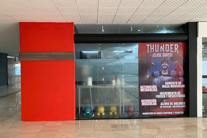 Imagen 5 de la galería del partner Thunder Fit