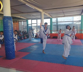 Imagen 1 de la galería del partner Taekwondo Esparta Chimalhuacan