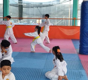 Imagen 2 de la galería del partner Taekwondo Esparta Chimalhuacan
