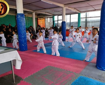 Imagen 4 de la galería del partner Taekwondo Esparta Chimalhuacan