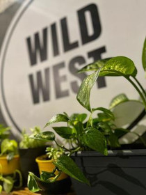 Imagen 5 de la galería del partner WILD WEST