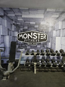 Imagen 1 de la galería del partner Monster Fitness Suc. Loma La Paz