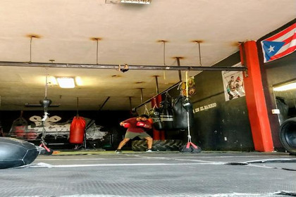 Imagen 2 de la galería del partner Ojo de Tigre Santa Tere