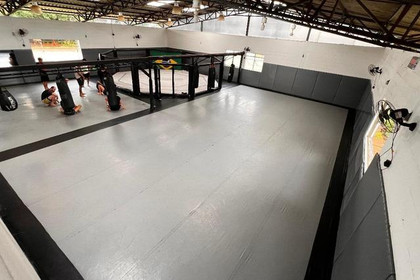 Imagem 2 da galeria do parceiro Cerrado MMA