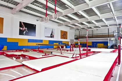 Imagen 7 de la galería del partner Nelson Vargas - San Jerónimo