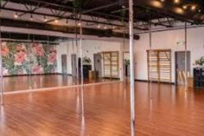 Image 5 from Sankalpa Pole Fitness partner gallery