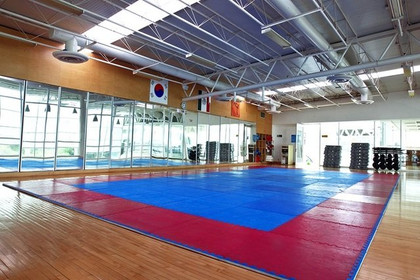 Imagen 4 de la galería del partner Nelson Vargas - Querétaro